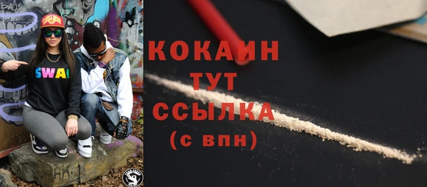 Альфа ПВП Чердынь