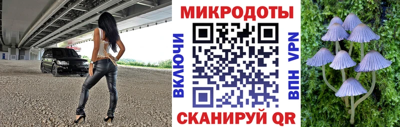Галлюциногенные грибы Psilocybine cubensis  omg маркетплейс  Стерлитамак  купить наркотики цена 